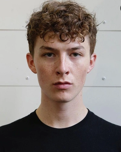 Alpaca Haircut