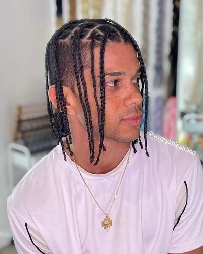 Braided Anime Hairstyle