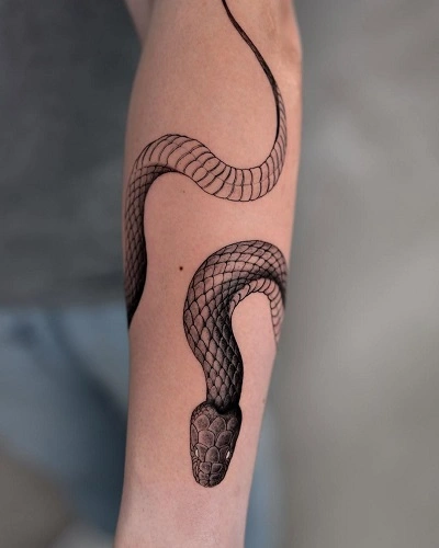 Coiled Snake Tattoos for Men