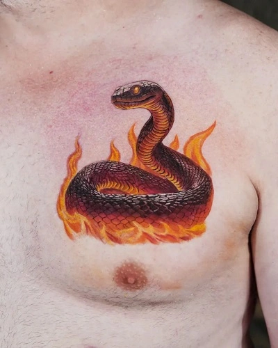 Fire Snake Tattoos for Men