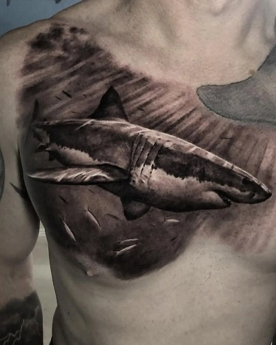 Great White Shark Tattoos for Men
