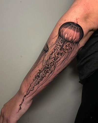 Jellyfish Tattoos for Men