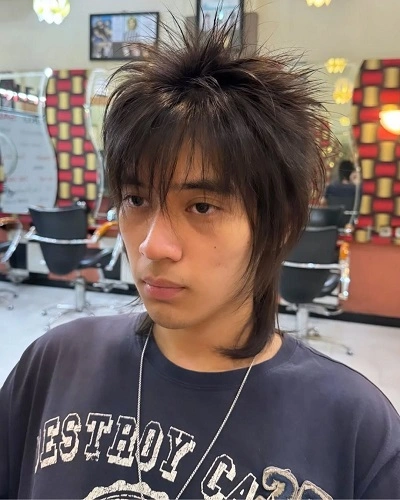 Spiky Anime Hairstyle