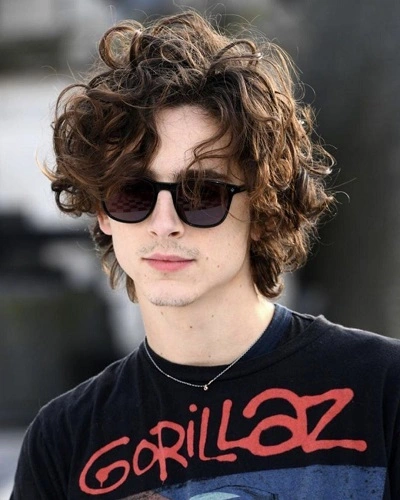 Timothée Chalamet