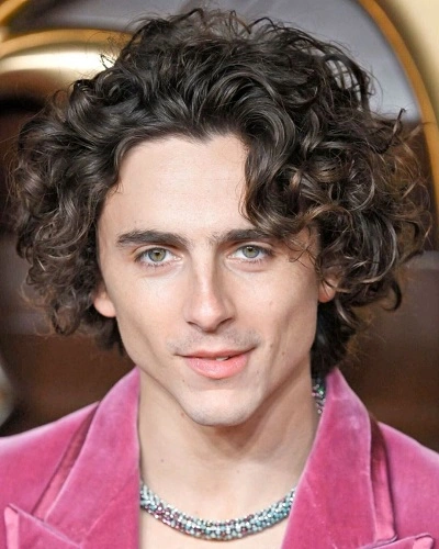 Timothée Chalamet