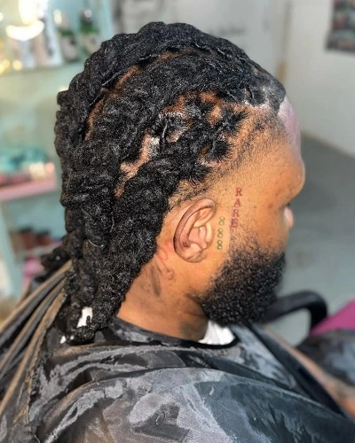 Braided Dreadlocks Men