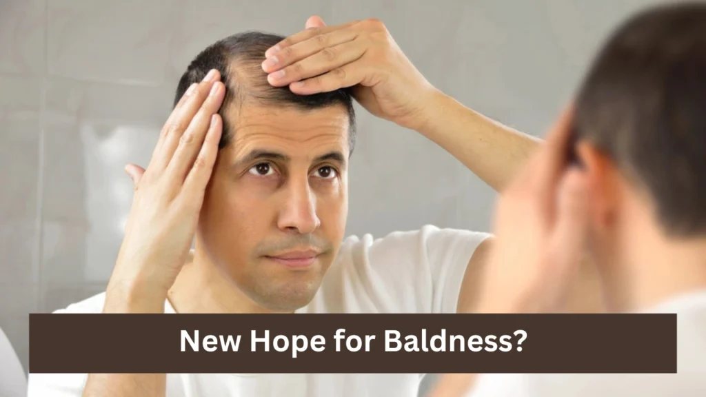 New Hope for Baldness?