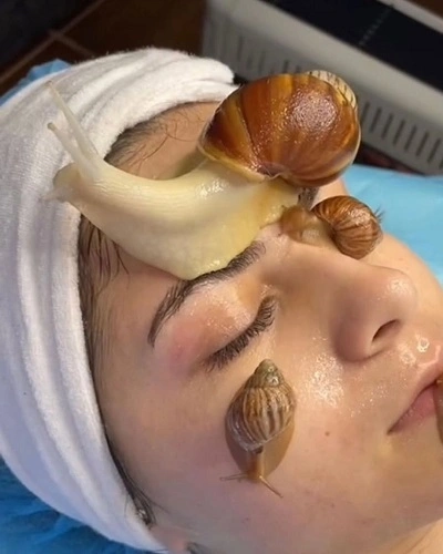 Snail Mucin Works on the Skin