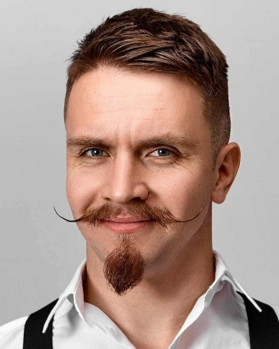 Handlebar Mustache Van Dyke