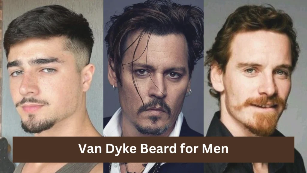 Van Dyke Beard for Men