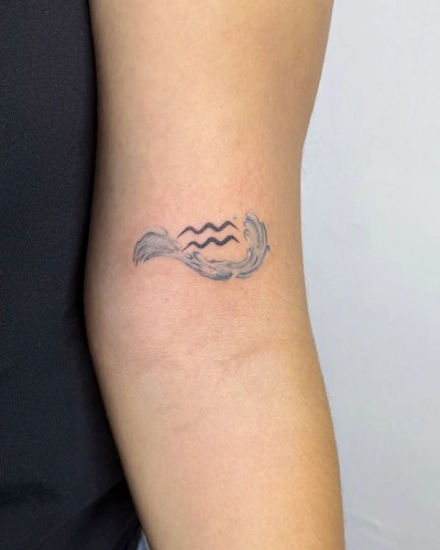 Minimal Aquarius Line Art