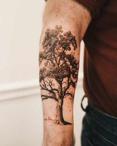 Oak Tree Tattoo for Men